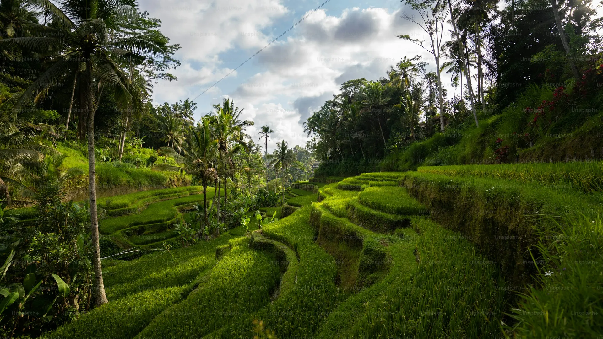 Ghana tourism landscape showcasing beautiful destinations